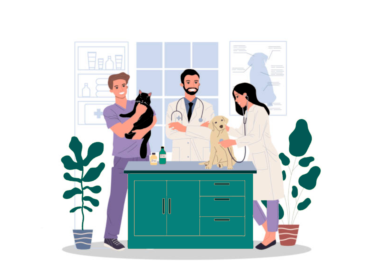 Emergência resolvida